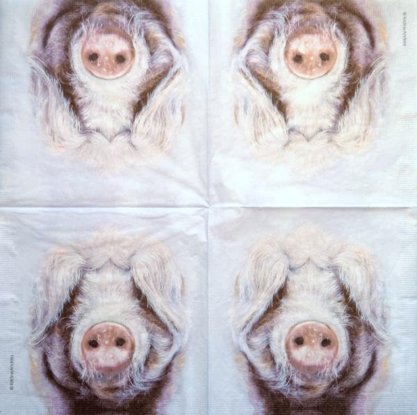 080 Pigs - 3-ply - Nouveau